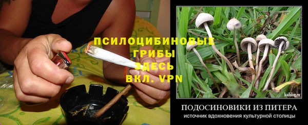 индика Навашино