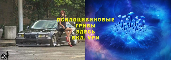 индика Навашино
