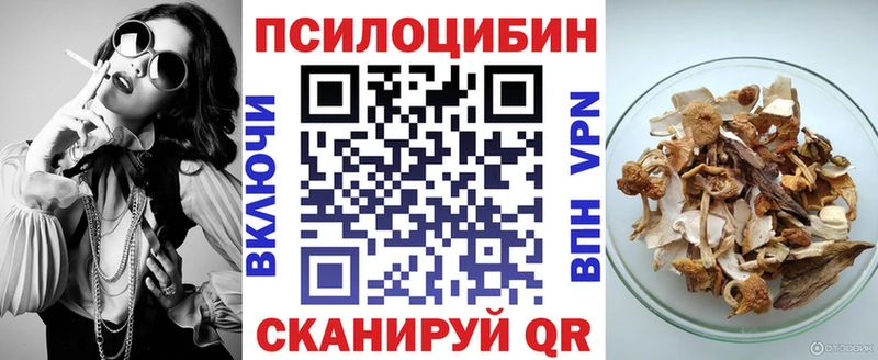 kraken зеркало  Новая Ладога  Псилоцибиновые грибы Psilocybe 